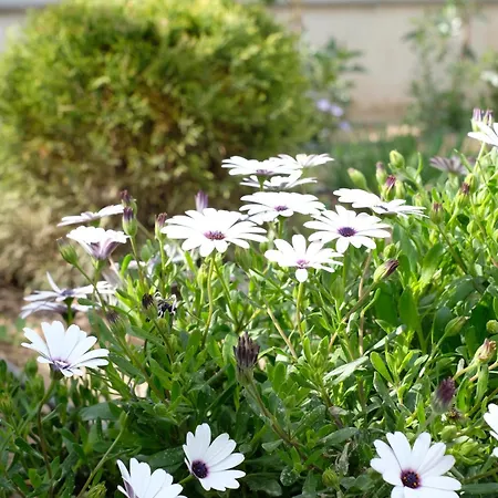 Salt&wave Vakantiehuis *