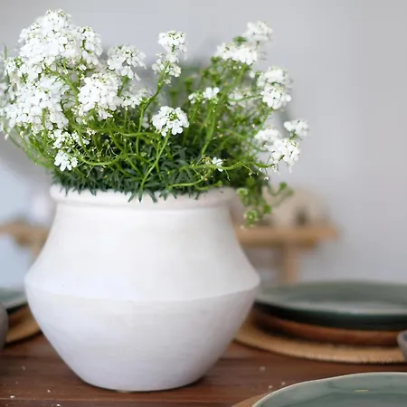 Salt & Wave בית נופש