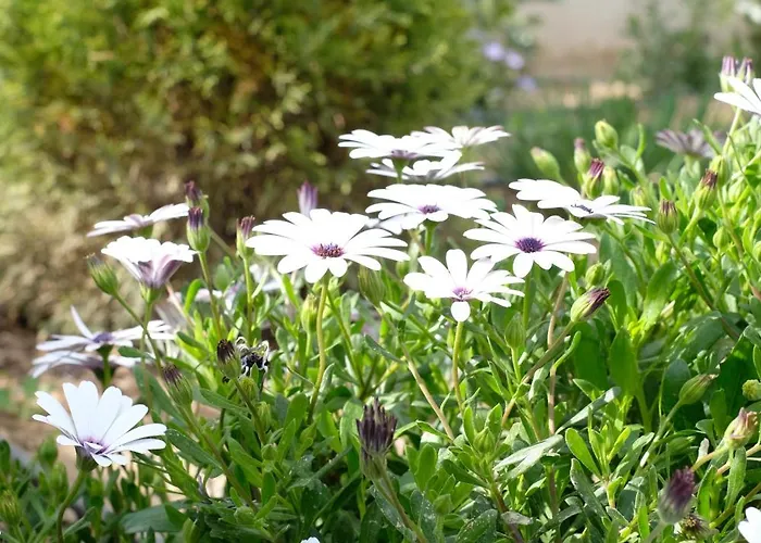 Salt & Wave Casa de Férias *